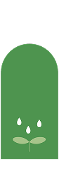 芽
